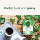 Traditional Medicinals Organic Nettle Leaf Tea, 48 Tea Bags, 3 Pack