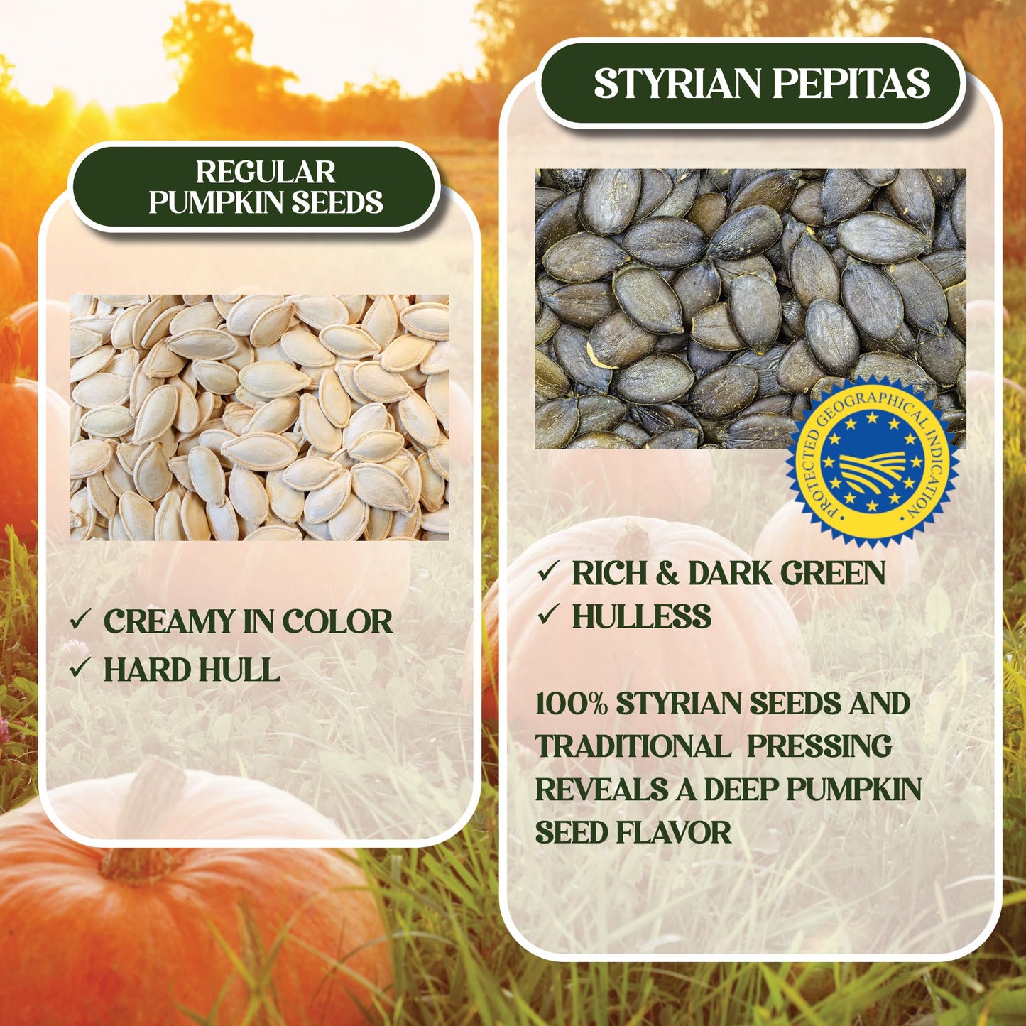 Gourmanity Organic Cold Pressed Styrian Pumpkin Seed Oil, Traditionally Made In Austria, 100% Pure Healthy And Delicious Oil, Non-Gmo, Vegan And Keto Friendly, Perfect Drizzled Over Salads, 16.9 Oz