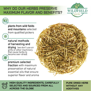 4 Oz. Horsetail Herb Horsetail Tea Cola De Caballo Hierba Horse Tail (Equisetum Arvense) - 113G Field Horsetail Leaf Herb Tea