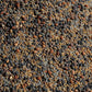 No-Till Cover Crop 13-Seed Mix: 50% Clovers Plus Fenugreek, Vetch, Flax, Cowpeas, Buckwheat, Forage Peas, Millet, Lentils (45-Lb