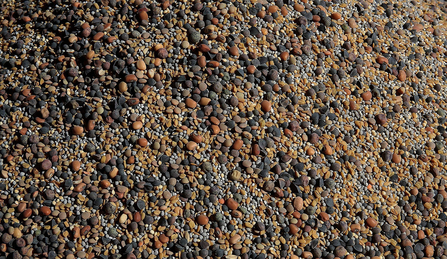 No-Till Cover Crop 13-Seed Mix: 50% Clovers Plus Fenugreek, Vetch, Flax, Cowpeas, Buckwheat, Forage Peas, Millet, Lentils (45-Lb