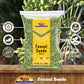 Rani Fennel Seeds (Saunf Sabut) Whole Spice 7Oz (200G) All Natural Gluten Friendly Non-Gmo Vegan Indian Origin