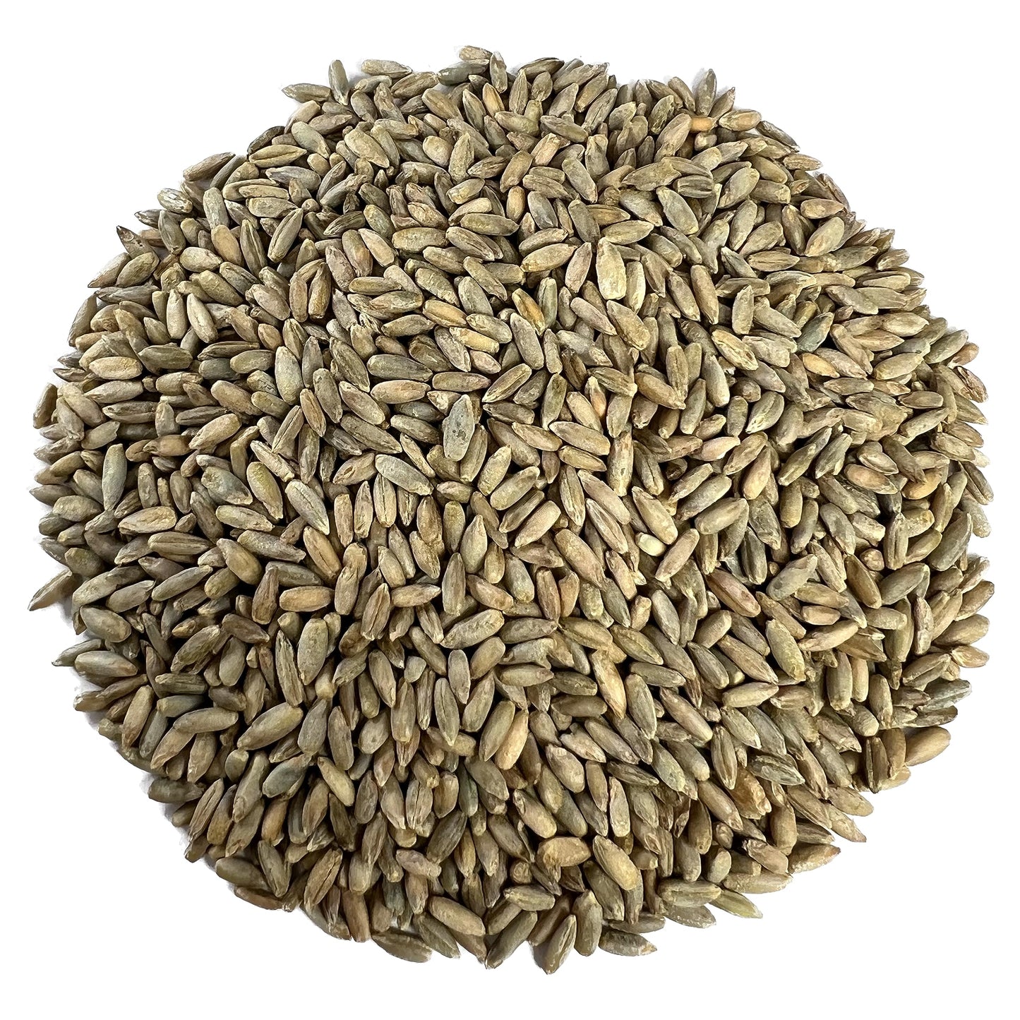 Myco Buddy Organic Rye Berries - Non-GMO, Kosher, Raw Whole Grain - 5 lbs