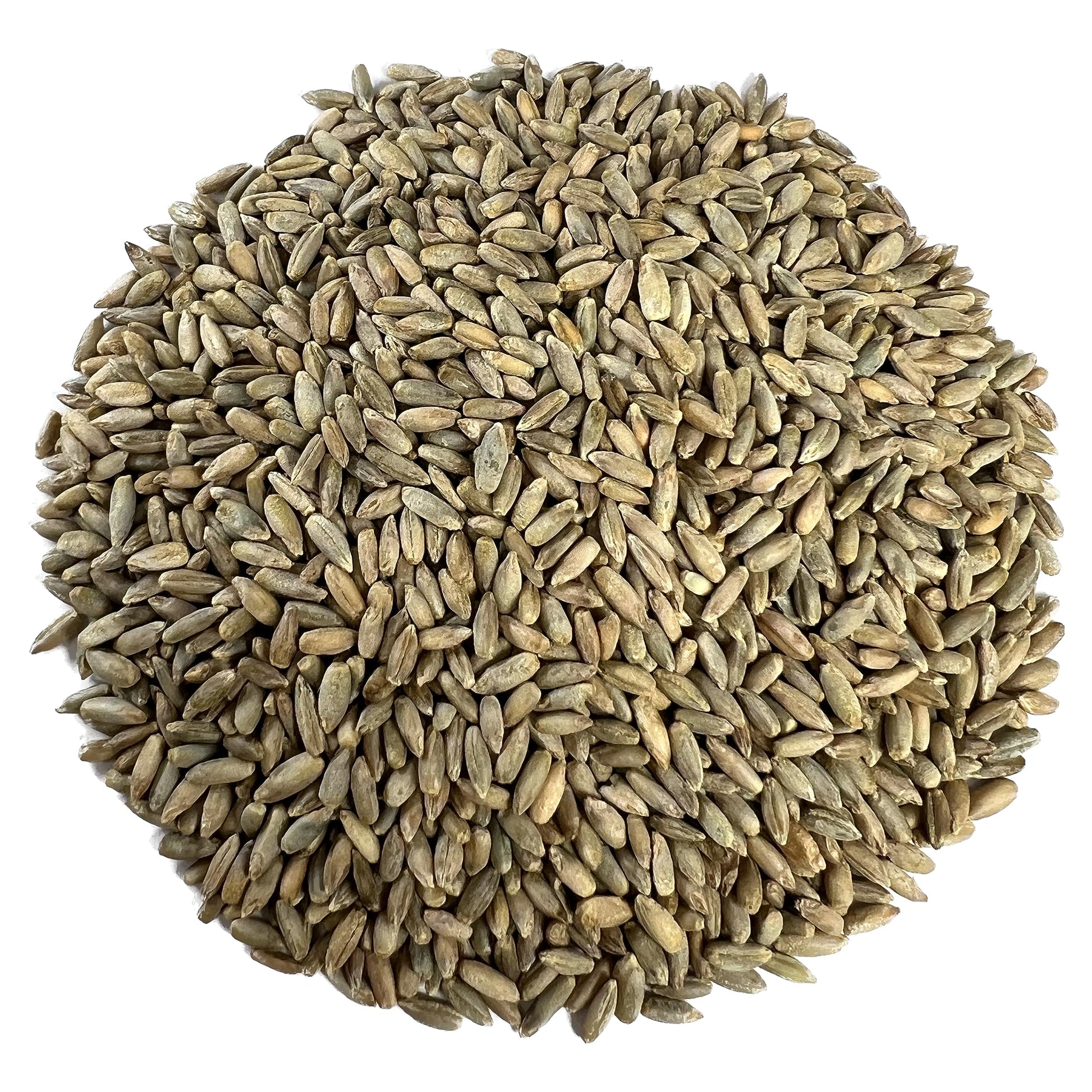Myco Buddy Organic Rye Berries - Non-GMO, Kosher, Raw Whole Grain - 5 lbs
