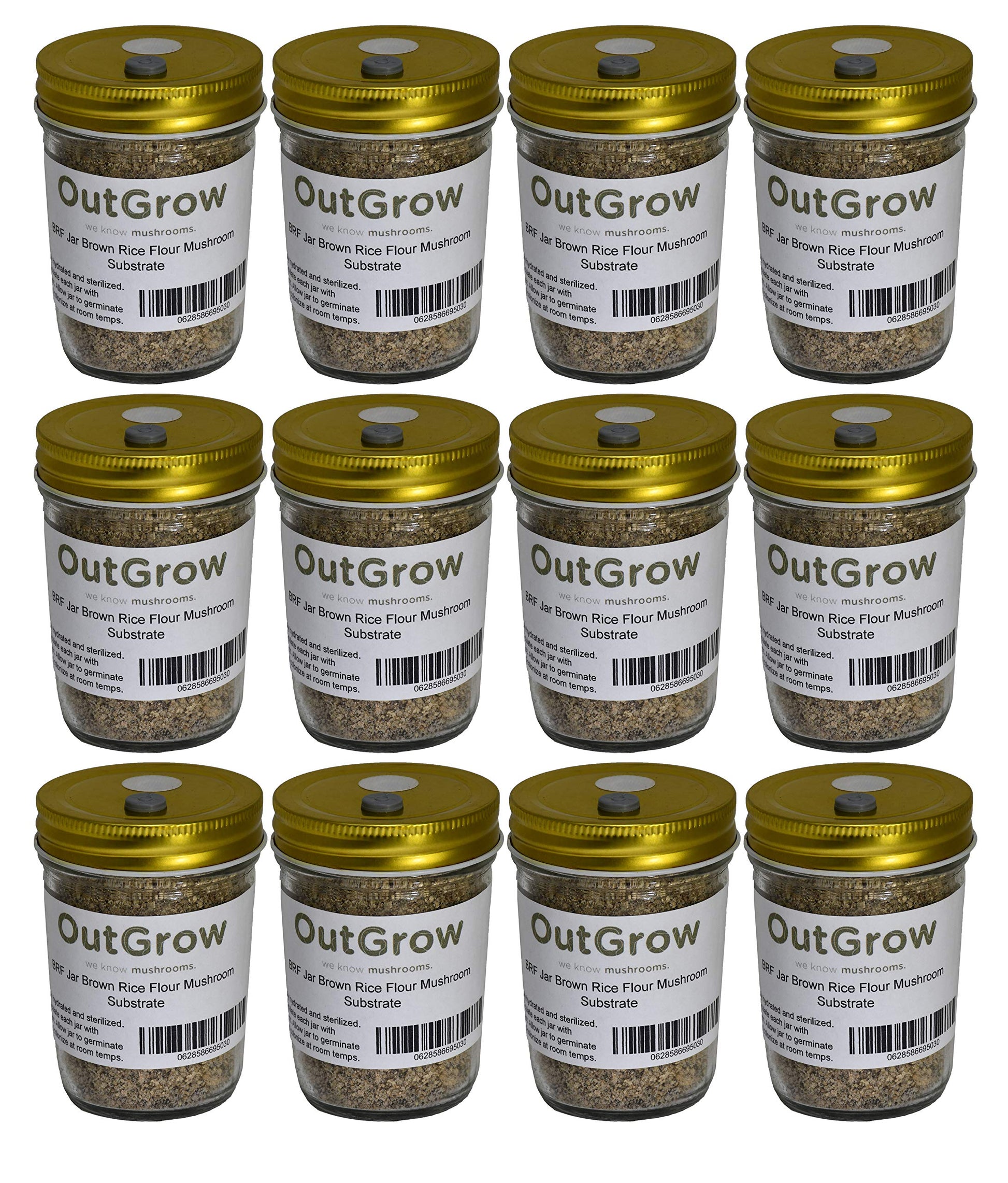 Brf Jars Mushroom Substrate (12 Pack)