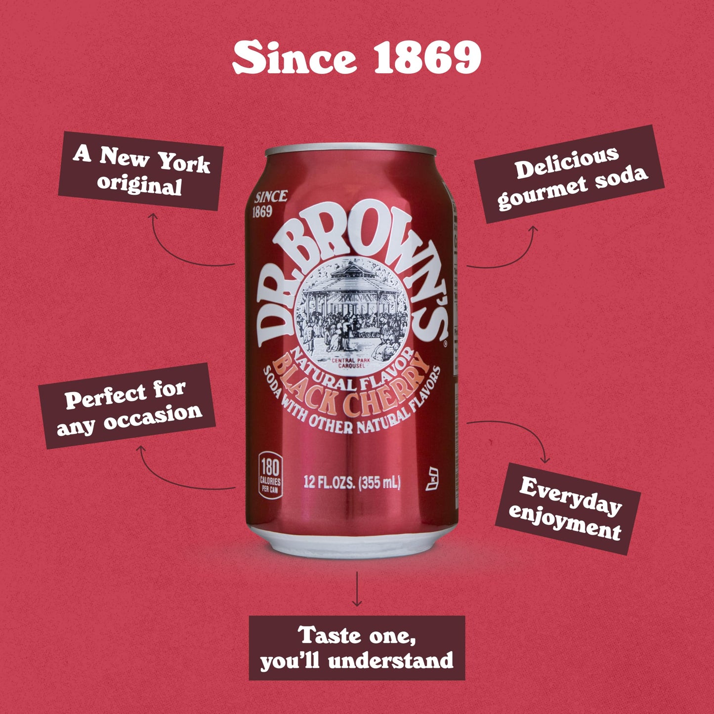 Dr. Browns Black Cherry Soda - Gourmet Craft Soda - 24 Cans - 12 oz Each - Kosher