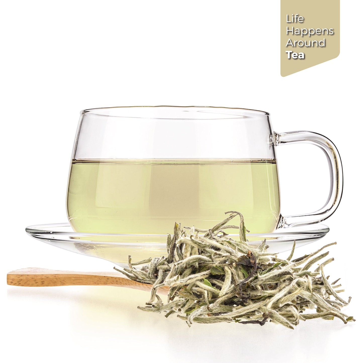 Tealyra Premium White Silver Needle Tea, Loose Leaf, Low Caffeine, 220g (8 oz)