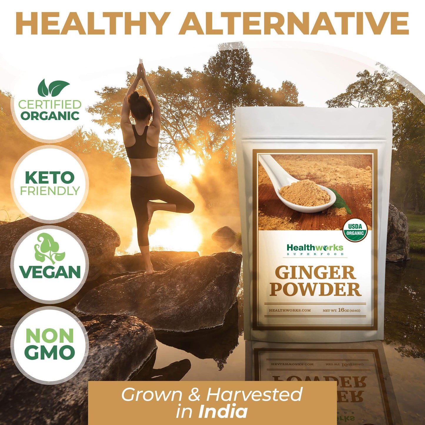 Healthworks Ginger Powder (16 Ounces / 1 Pound) | Ground | Raw | All-Natural & Certified Organic | Keto, Vegan | Great with Coff