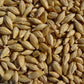 Barley 18 Lbs, Unhulled Barley (Hull Intact), Joseph'S Grainery Whole Grain Barley, Non-Gmo, Kosher Certified