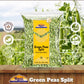 Rani Green Peas Split, Dried (Vatana, Matar) 32Oz (2Lbs) 908G ~ All Natural | Vegan | Gluten Friendly | Kosher | Product Of Usa