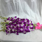 Fresh Cut Flowers -Dendrobium Orchids Bom Sonia (Purple)