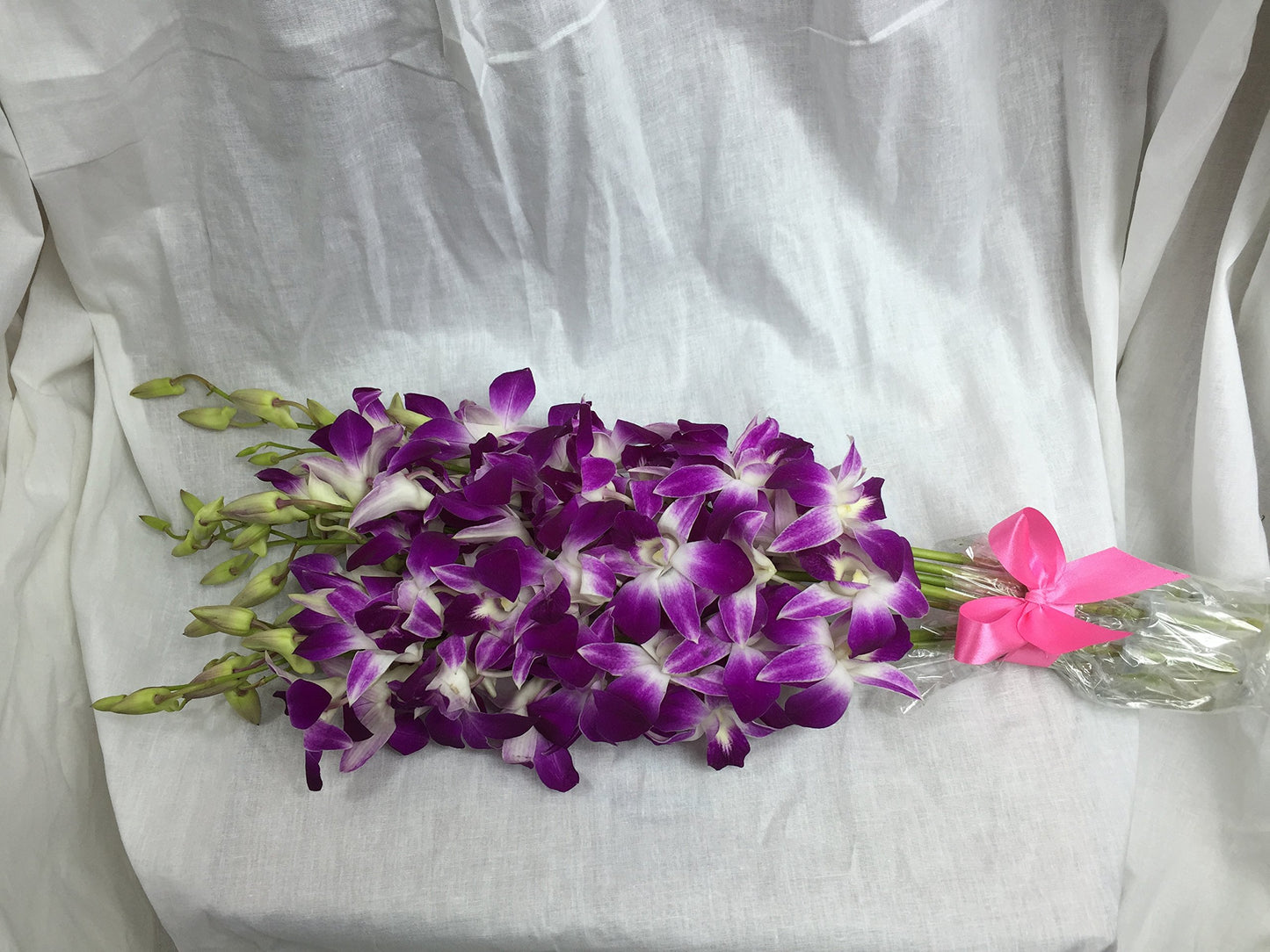 Fresh Cut Flowers -Dendrobium Orchids Bom Sonia (Purple)
