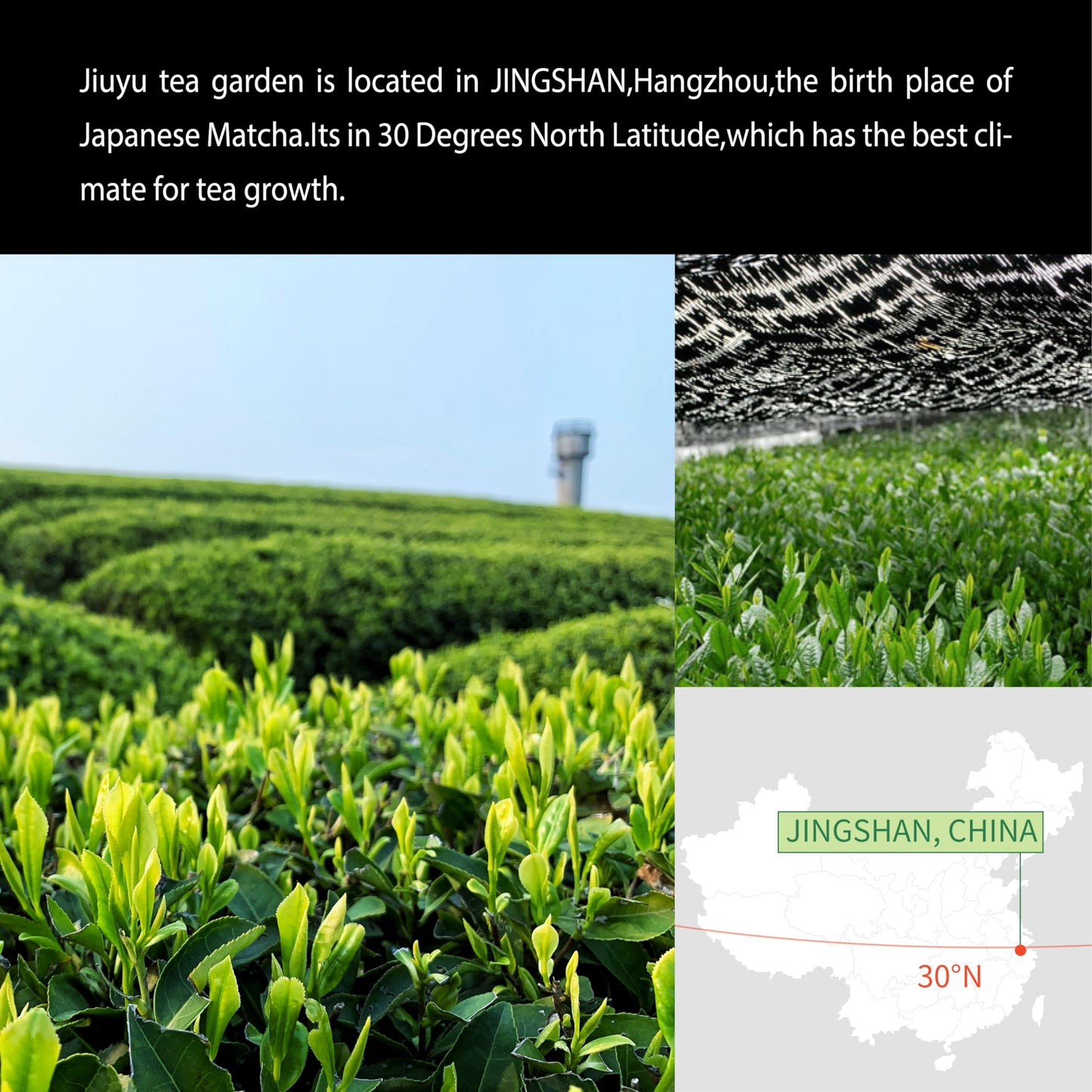 Organic Matcha Green Tea Powder First Harvest Ceremonial Grade 100% Pure Premium Matcha For Drinking And Latte No Additives 3.53