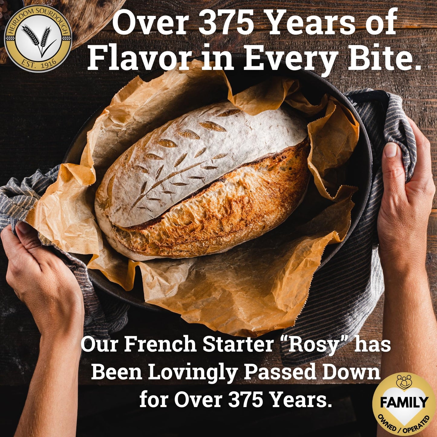 Generic 375-Year-Old French Sourdough Starter | Easy Instructions | 2 Ounce Pack