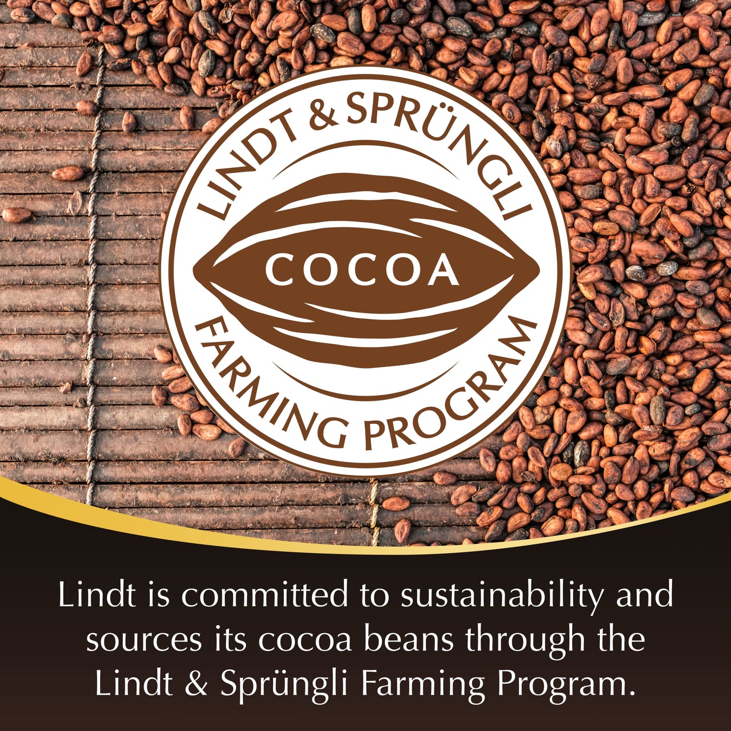 Lindt LINDOR 60% Dark Chocolate Truffles  Dark Chocolate Candy with Smooth  Melting Truffle Center  25.4 oz.  60 Count