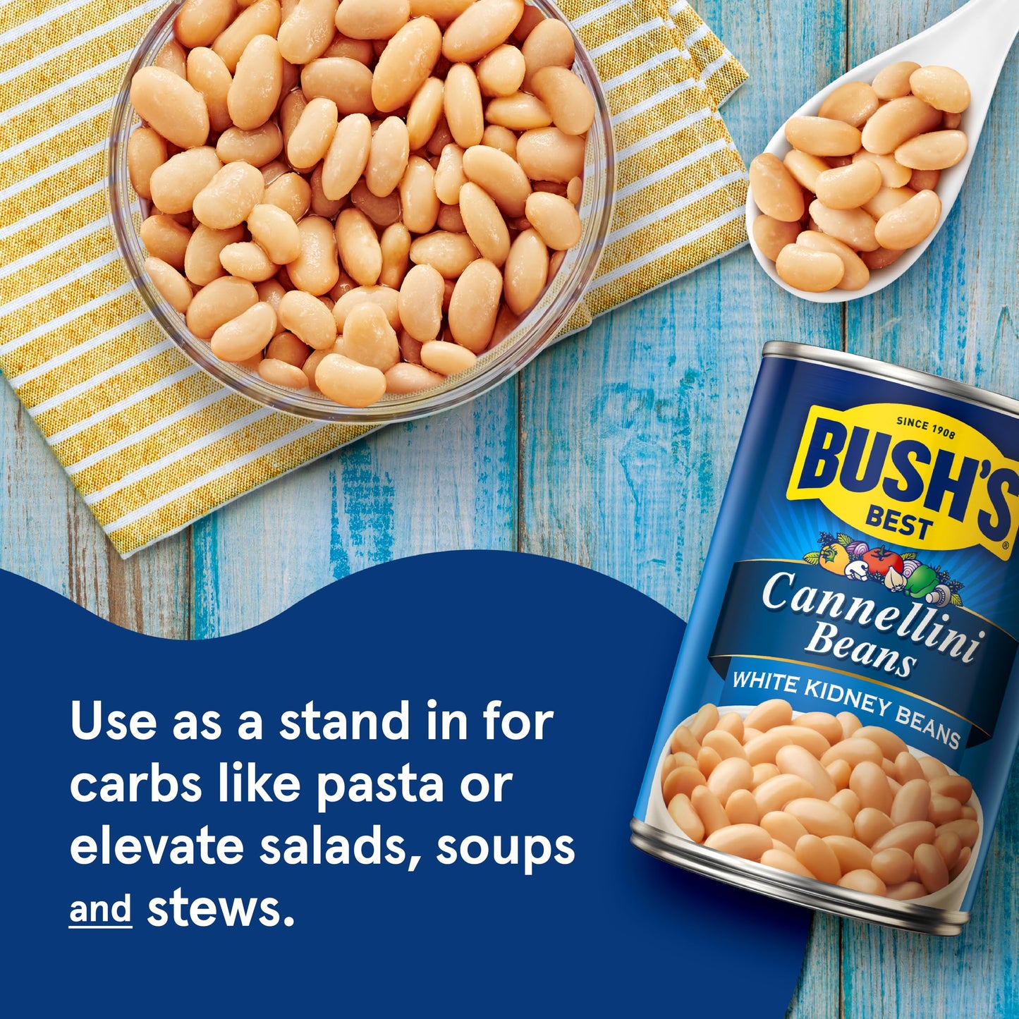 BUSH S BEST 15.5 oz Canned Cannellini Beans, Source of Plant Based Protein and Fiber, Low Fat, Gluten Free, (Pack of 12)