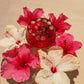 20 Leaves Hibiscus Flower Loose Leaf Tea - Organic Herbal Tisane - Caffeine Free - 16oz Resealable Bag