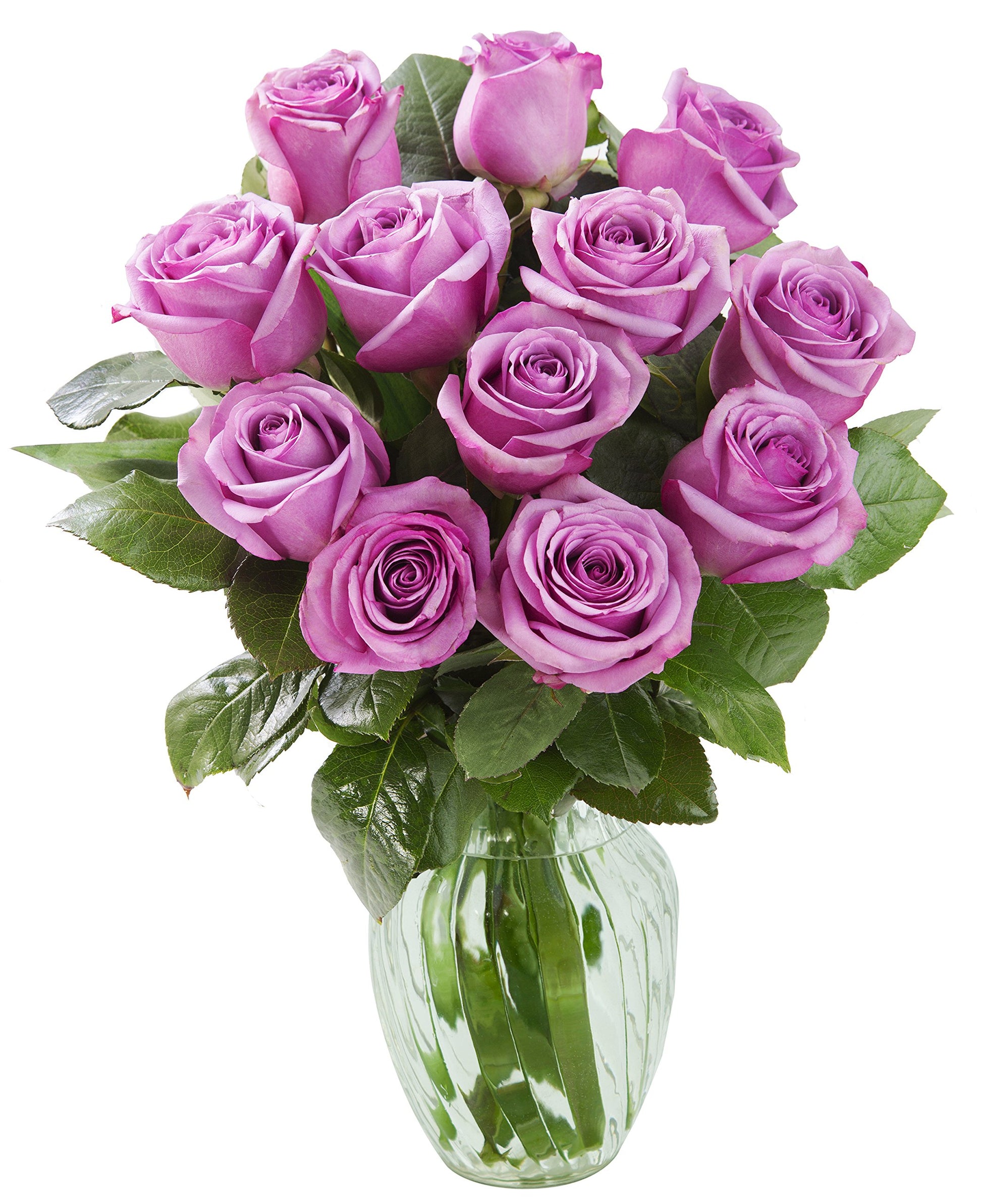 KaBloom Fresh Purple Roses Bouquet - 12 Stems with Vase - Summer Collection - Model KADF1405-V118-A999