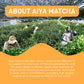 Aiya Matcha+ Awake - Lime Flavored Matcha Energy Drink Mix - 140mg Caffeine per Packet - enhanced Japanese Matcha Green Tea Powder - On-the-Go Energy Boost - 8 Sticks