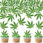 Ercadio Edible Cupcake Toppers - 40 Pcs Green Birthday Cake Decorations for Parties