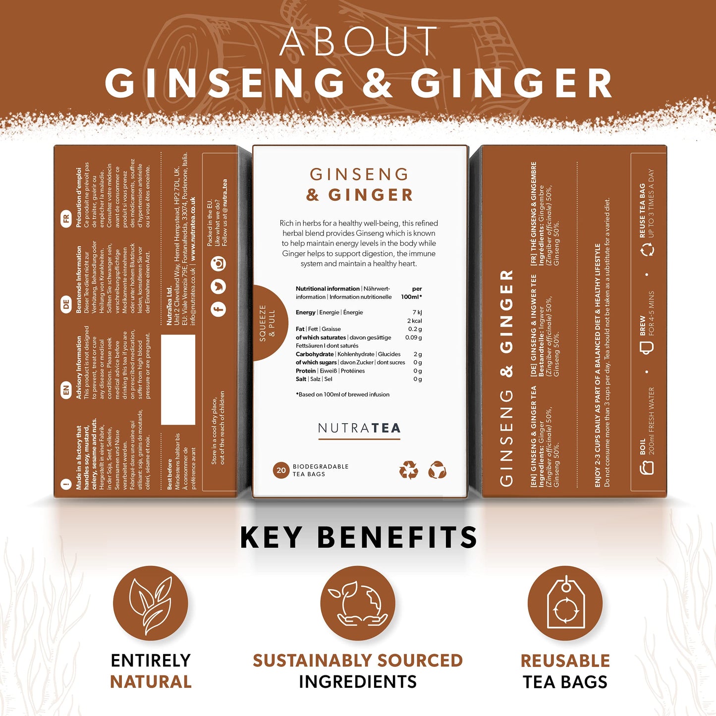 Nutra Tea - Ginger & Ginseng Tea - 40 Tea Bags - Herbal Tea - (2 Pack)