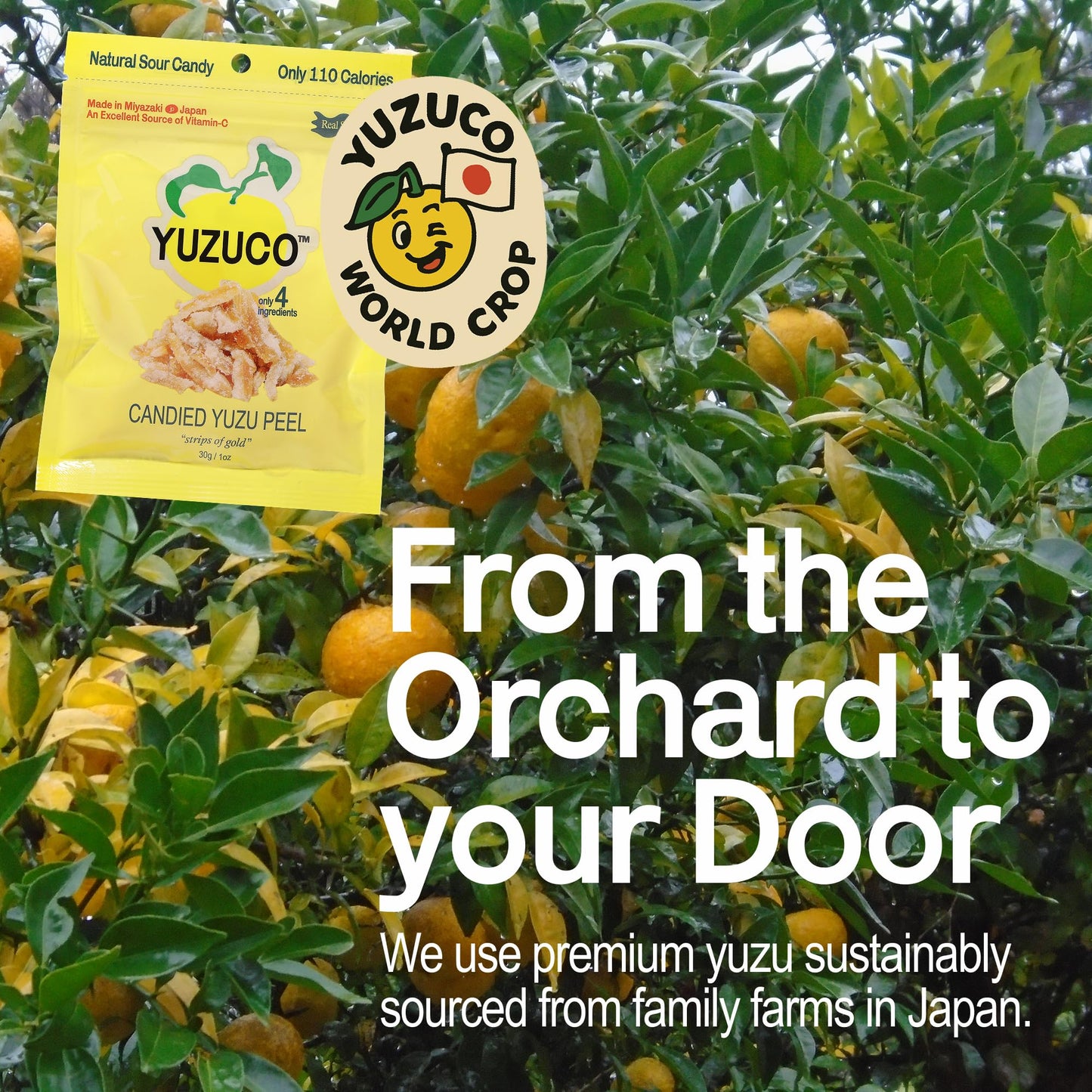 YUZUCO - Candied Yuzu Peels (1 Ounce Bag) - Great for Snacking, Garnish for Cocktails and Desserts