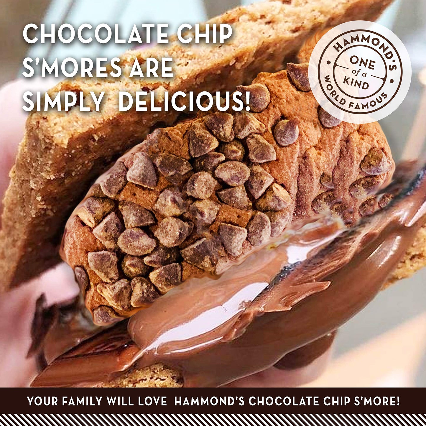 Hammond'S Candies | Gourmet Chocolate Chip Marshmallows | 4 Bags, Great For Snacking | Hot Chocolate, Smores And Homemade Browni
