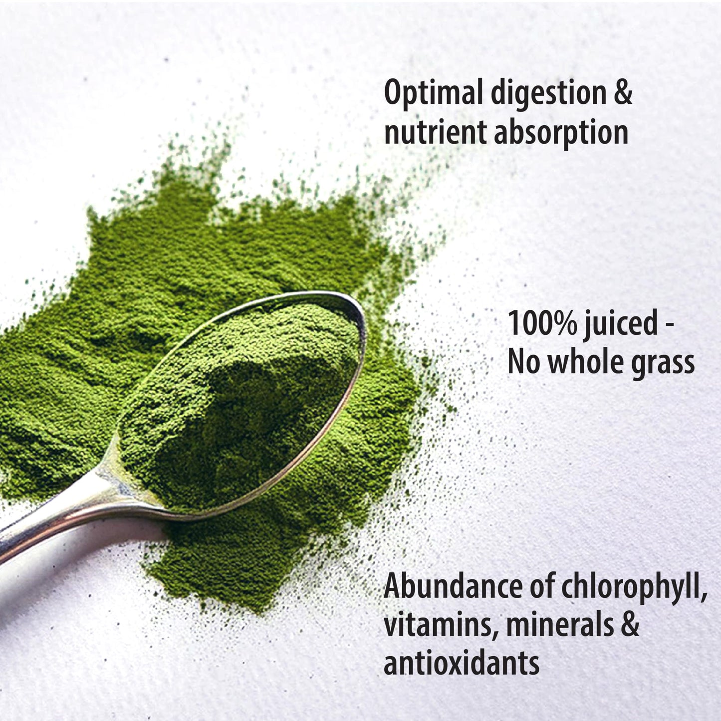 Organic Traditions Wheat Grass Juice Powder, Gluten Free Vegan Non-GMO Superfood, 5.3oz (150g) Bag, 18 Servings per Bag