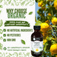 Organic Lemon Extract For Baking, Ice Cream, Drinks, And Candy - 2 Oz - Water-Soluble - By Harvest Moon Delights - Pure Lemon Fl