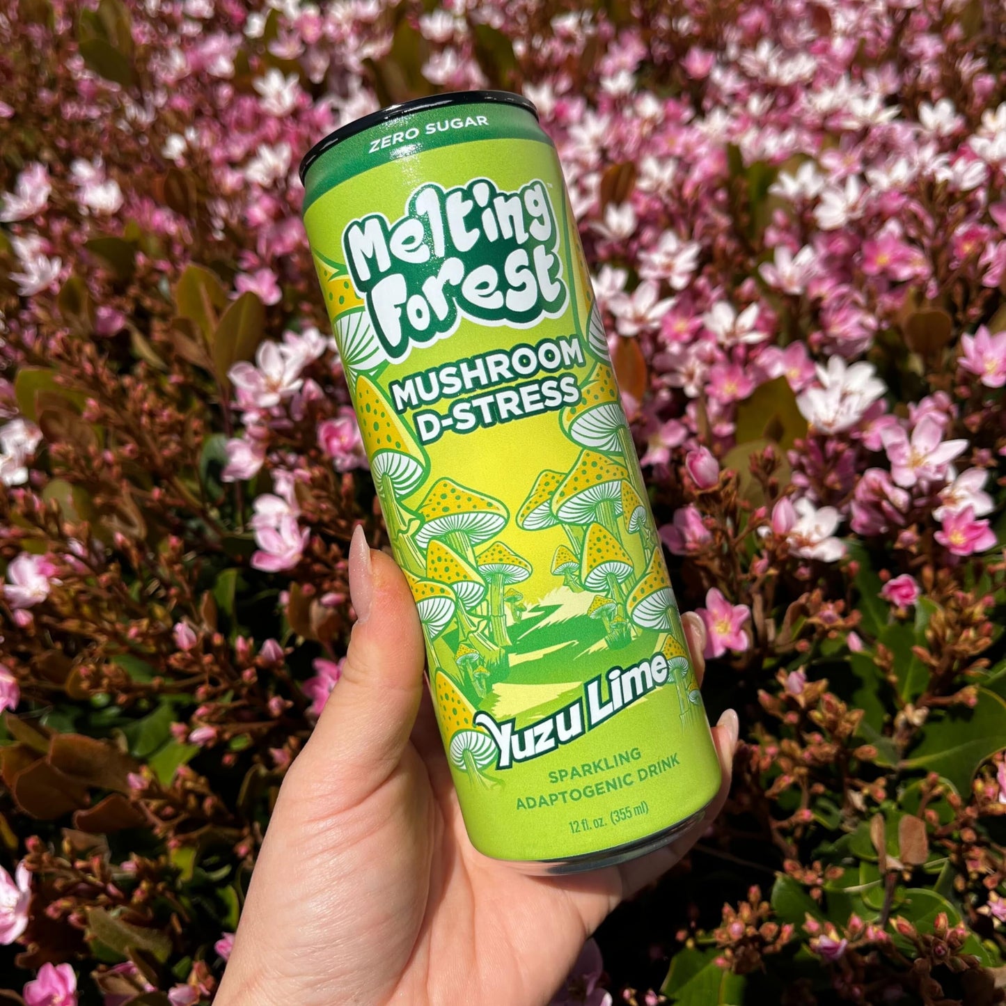 Melting Forest Mushroom D-Stress Drink - Reishi & Lion'S Mane - Stress Relieving & Focus - Cognitive Function & Mental Clarity -