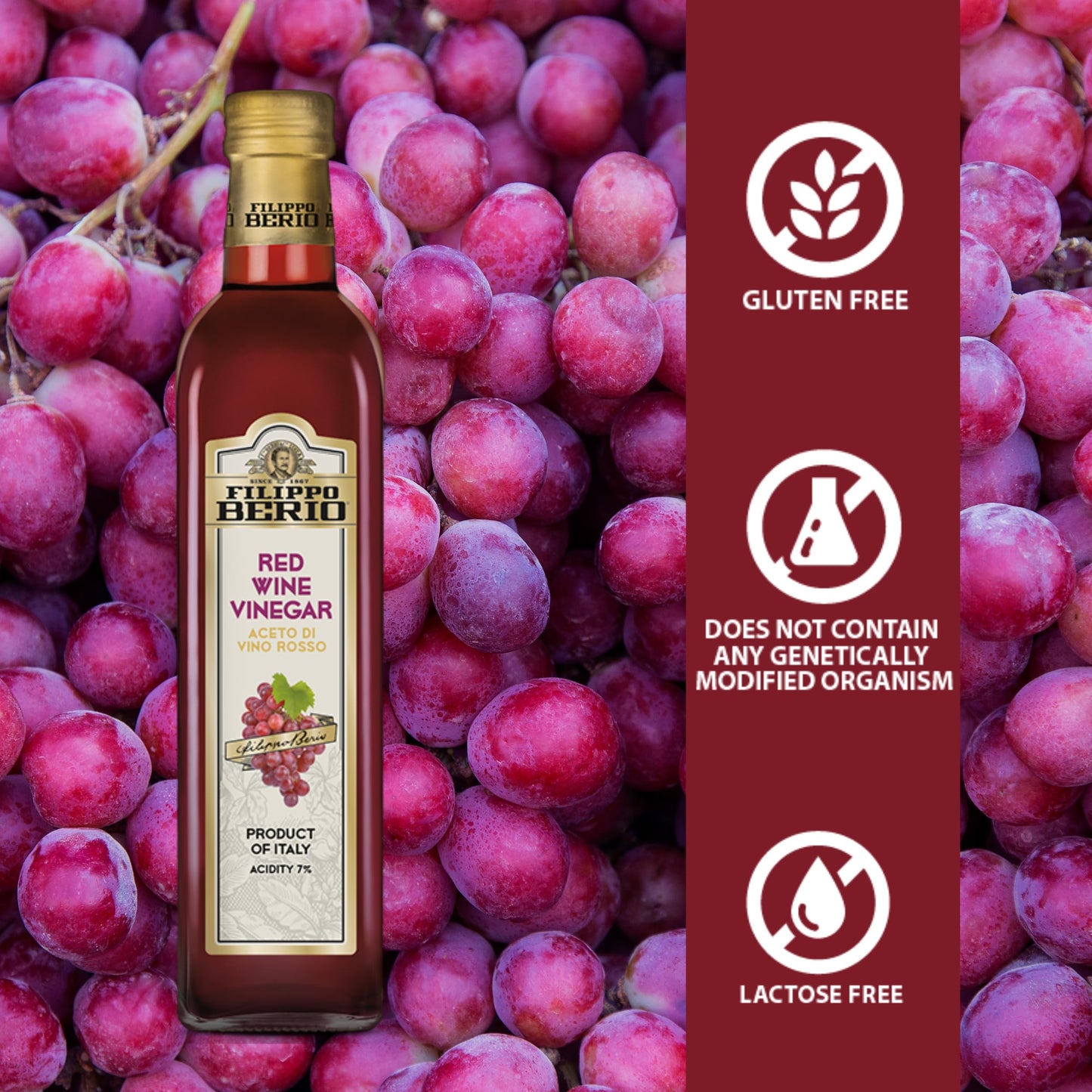 Filippo Berio Red Wine Vinegar, Gluten Free, 16.9 Fl Oz Glass Bottle