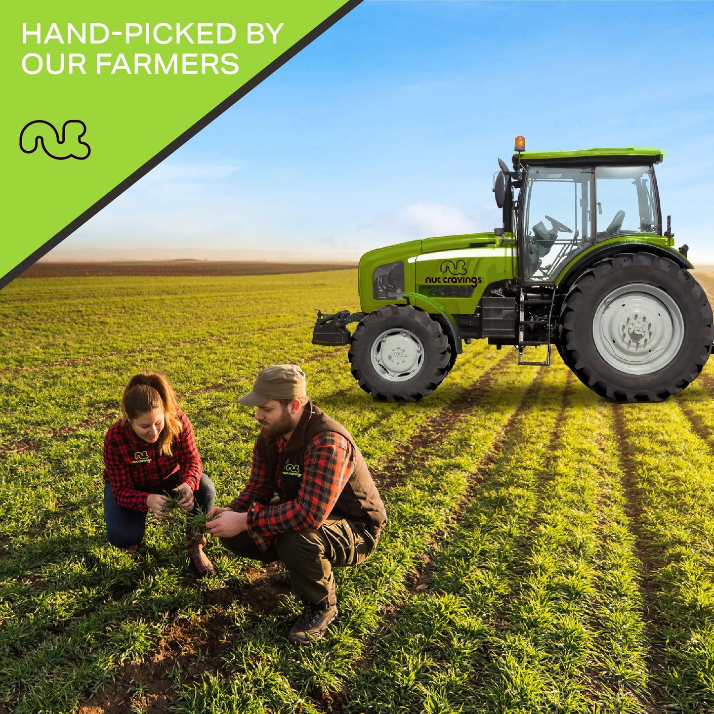 NUT CRAVINGS - Brazil Nuts Roasted & Salted - No Shell, Whole (80oz - 5 LB) Bulk Nuts Packed Fresh in Resealable Bag - Healthy P