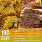 Premium Mullein Licorice Tea Bags. 100% Natural, Blend of Mullein Leaves, and Licorice Root.