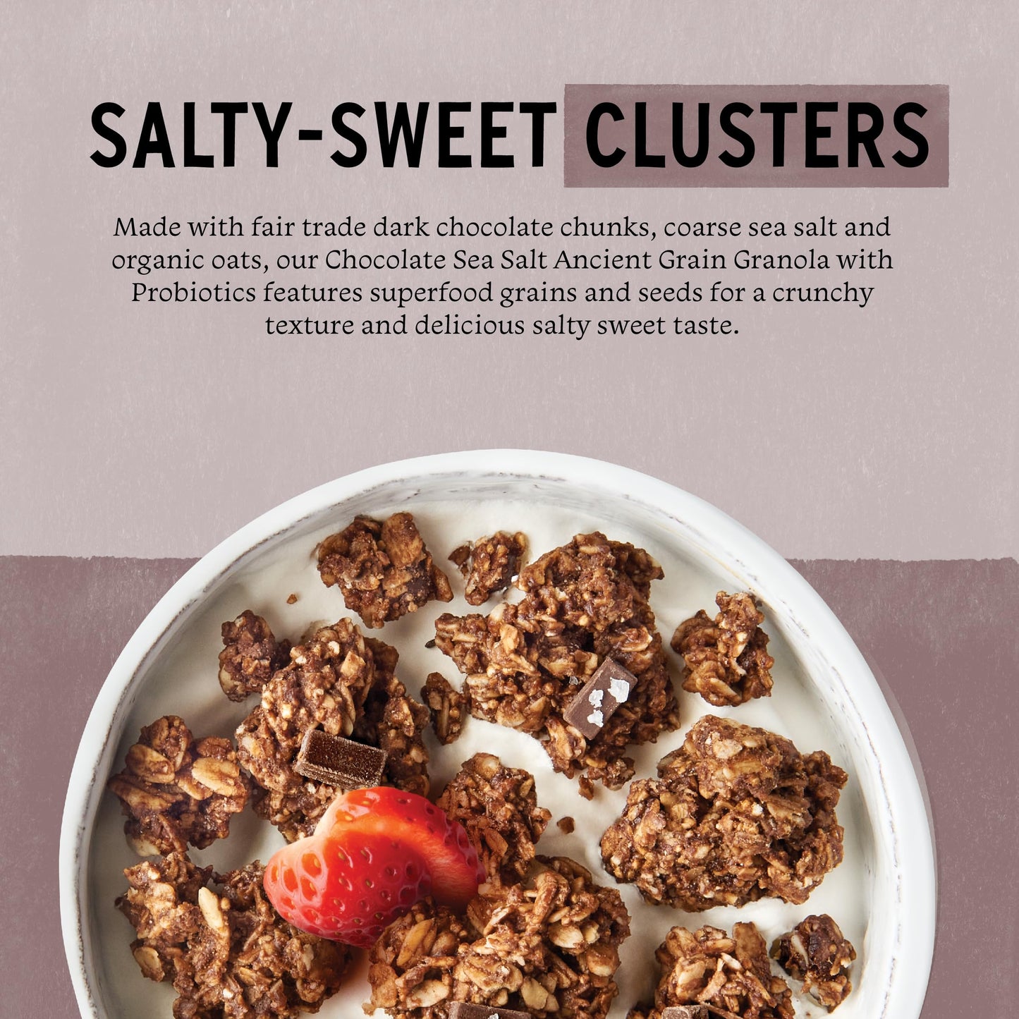 Purely Elizabeth, Chocolate Sea Salt, Ancient Grain Granola with Probiotics, Gluten-Free, Non-GMO (8oz Bag)