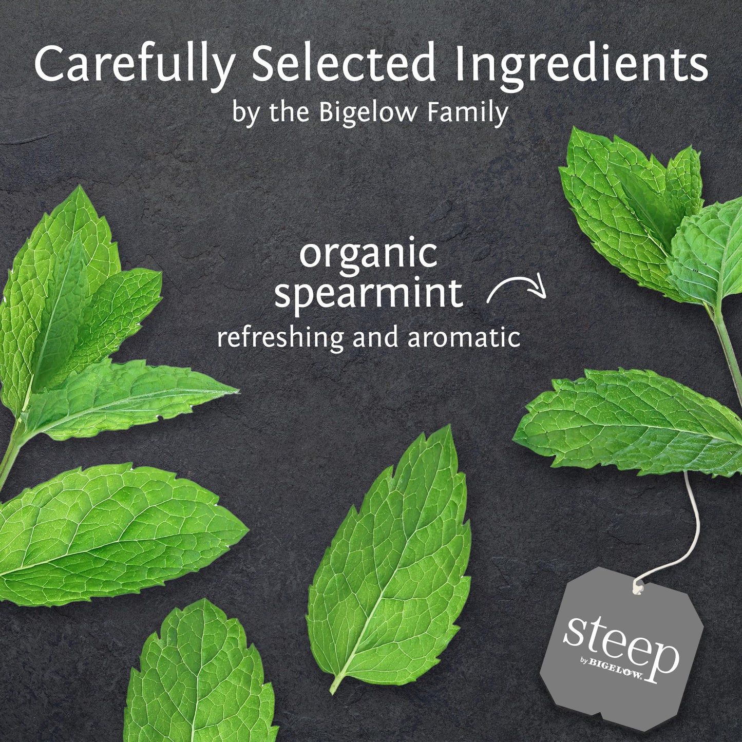 Bigelow Tea Organic Mint Herbal Tea, Caffeine Free, 20 Count (Pack of 6), 120 Total Tea Bags