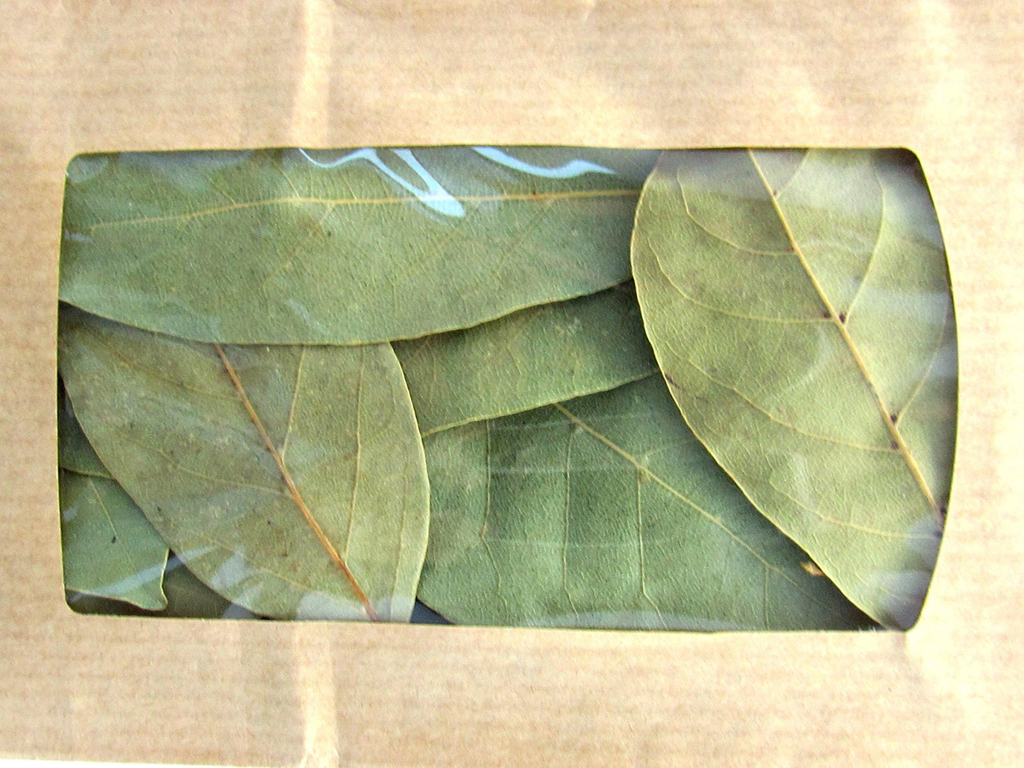 Chiron Kentavros Organic Bay Laurel Leaves - 0.7 Ounce, GMO/Caffeine Free, Greek Herb from Mount Pelion