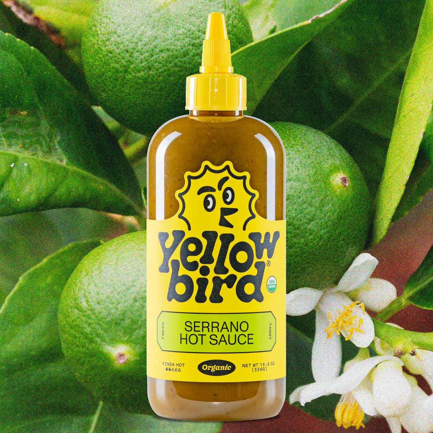 Yellowbird Organic Serrano Hot Sauce 19.6 Oz. Pantry Size (Kinda Hot | 2 Bottles | Made W/ Organic Garlic, Cucumber, & Lime)