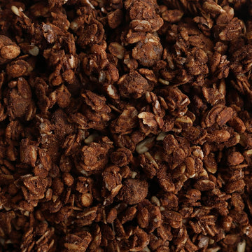 Grandy Organics Dark Chocolate Sea Salt Granola, 10 Pound Bulk Bag, Certified Organic, Gluten Free, Non-GMO, Kosher, Plant Based