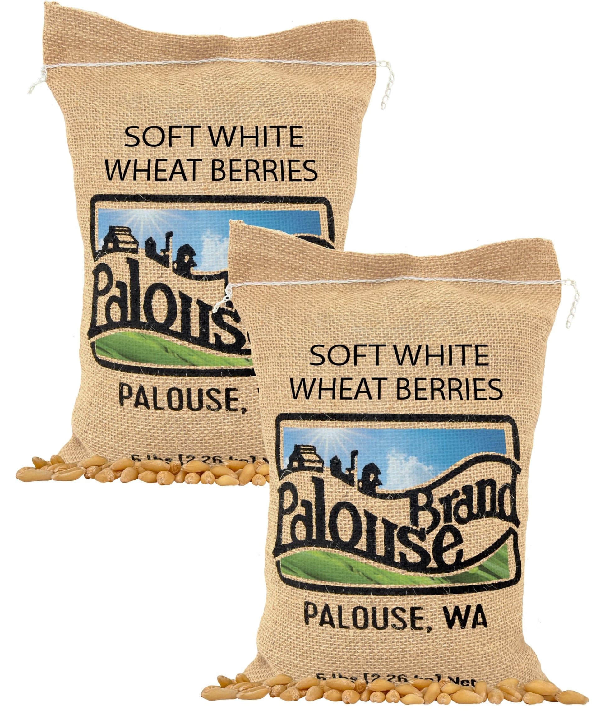 Palouse Brand Certified Glyphosate Residue Free Soft White Wheat Berries | 10 LBS | Family Farmed in Washington State | Non-GMO 