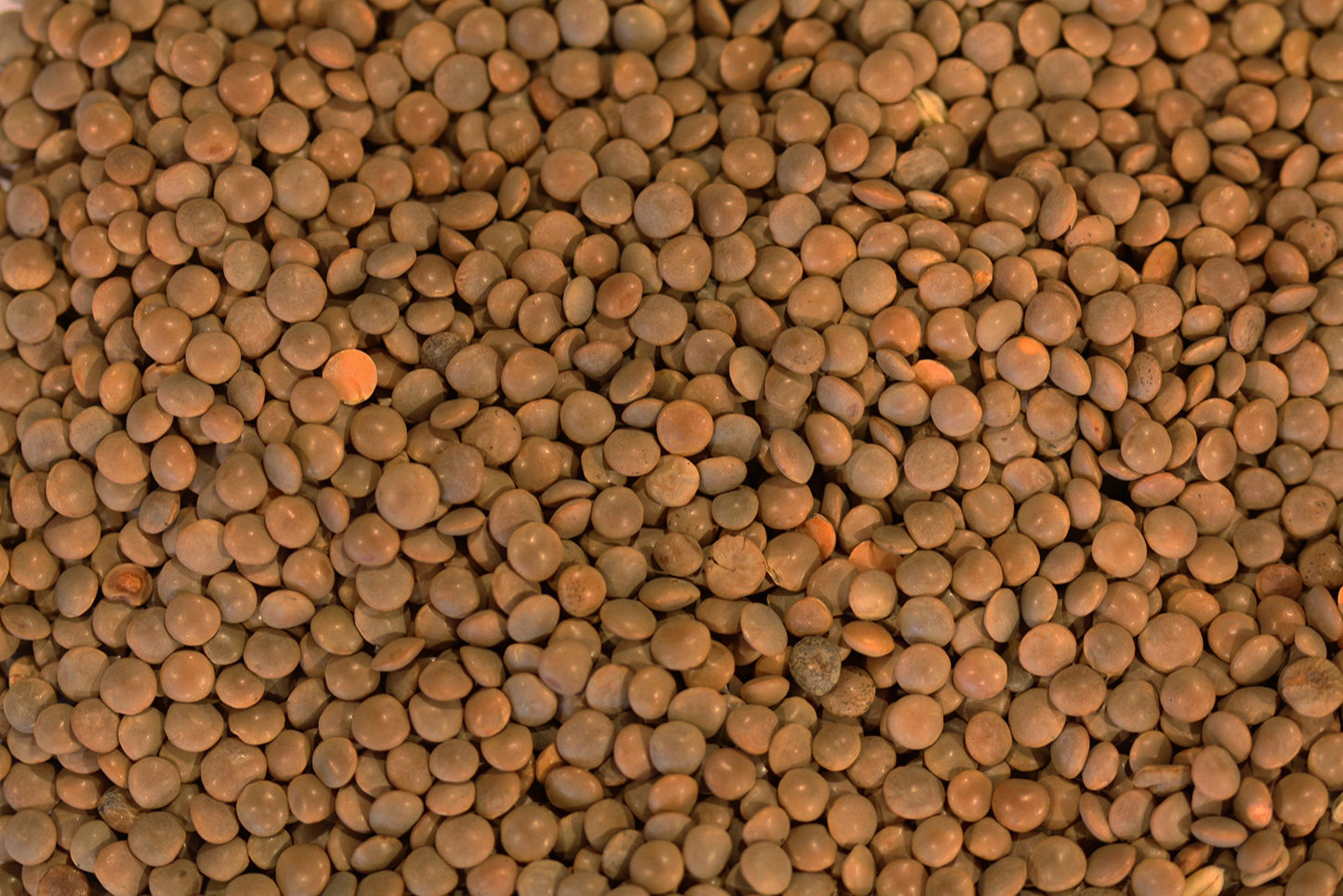 Yupik Organic Brown Lentils, 2.2 Lb (35.2 Oz), Pack Of 6, Non-Gmo, Vegan, Gluten-Free, Kosher, Raw, Salt-Free, High In Fiber & P