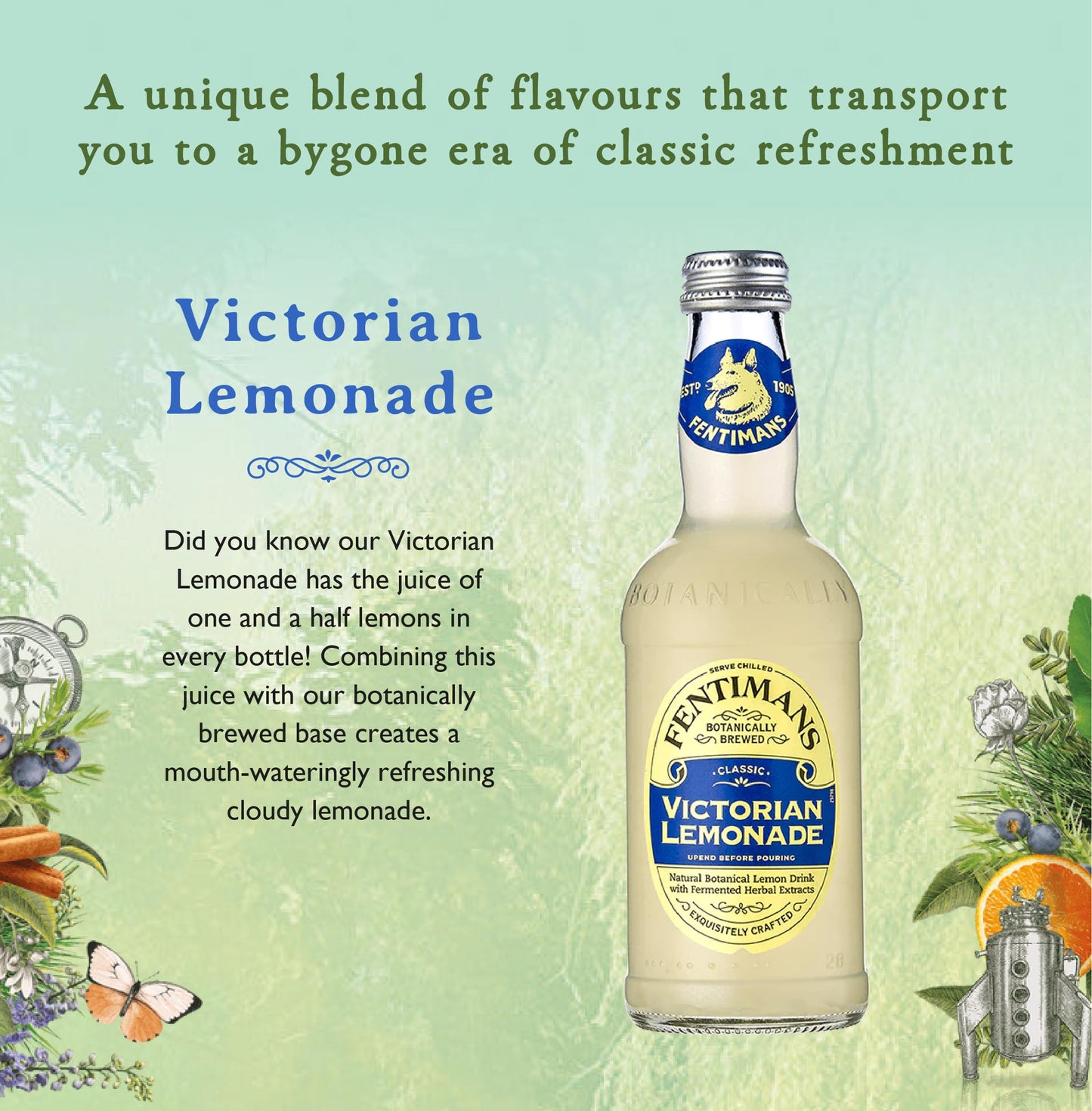 Fentimans Sparkling Victorian Lemonade - Sparkling Lemonade, Lemon Sparkling Water, Great Over Ice Or As Mixer, All Natural Ingredients, Craft Soda, Botanically Brewed - 9.3 Fl Oz (Pack Of 12)