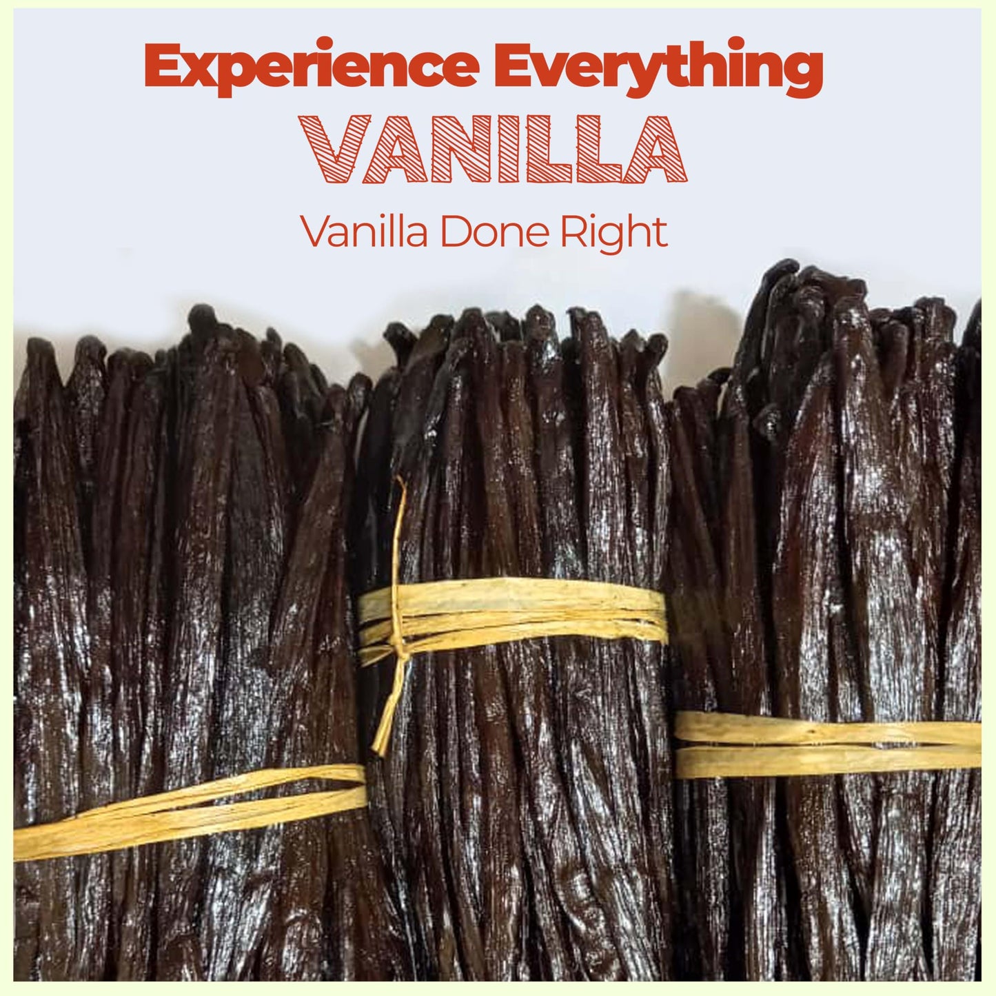 Akshit Vanilla Beans - Grade A+, Fresh Whole Vanilla Bean Pods, 6-8 Inches, Non-GMO, 10 Vanilla Beans