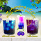 oko-oko Butterfly Pea Tea - Dried Flowers - 35.27 Oz - Organic Vegan Food Coloring - Kraft Resealable Bag