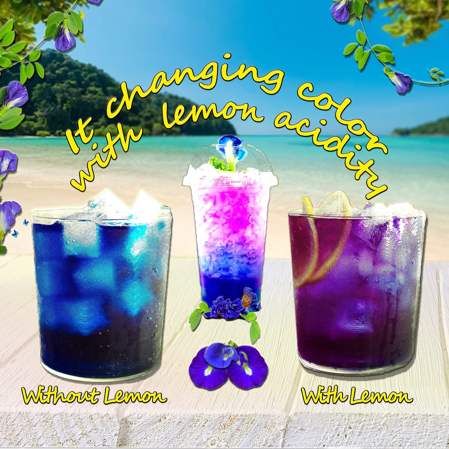 oko-oko Butterfly Pea Tea - Dried Flowers - 35.27 Oz - Organic Vegan Food Coloring - Kraft Resealable Bag