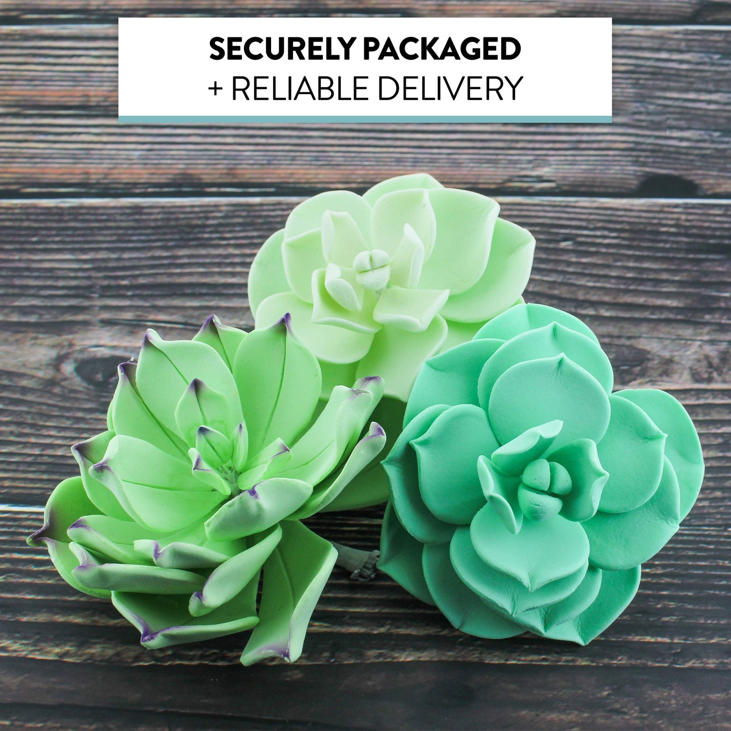Global Sugar Art Succulents Set Sugar Cake Flower, 3 Sizes, 9 Count By Chef Alan Tetreault