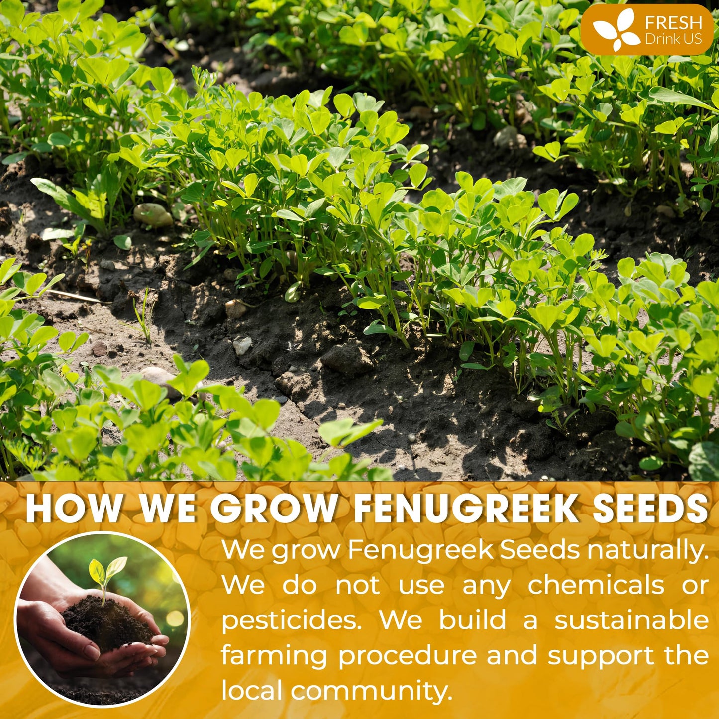 FRESHDRINKUS Fenugreek Powder, 100% Natural, 16oz, Vegan, No Additives, Gluten-Free