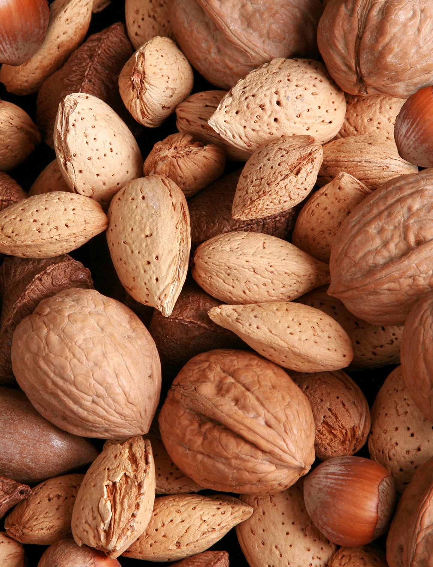 Anna And Sarah Top-Grade Mixed Nuts In Shell  2 Pound Bag  California Jumbo Chandler Walnuts  Extra Large Pecans  California Almonds  Buttery Taste In Resealable Bag  2 Lbs