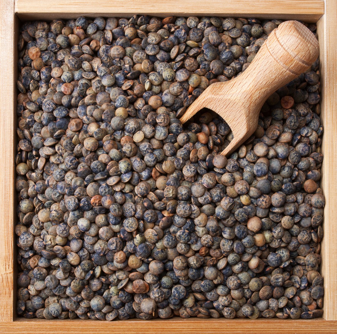 Hunza Organic French Lentils (2 lbs)