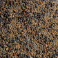 No-Till Cover Crop 13-Seed Mix: 50% Clovers Plus Fenugreek, Vetch, Flax, Cowpeas, Buckwheat, Forage Peas, Millet, Lentils (5-lb.