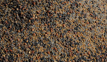 No-Till Cover Crop 13-Seed Mix: 50% Clovers Plus Fenugreek, Vetch, Flax, Cowpeas, Buckwheat, Forage Peas, Millet, Lentils (5-lb.